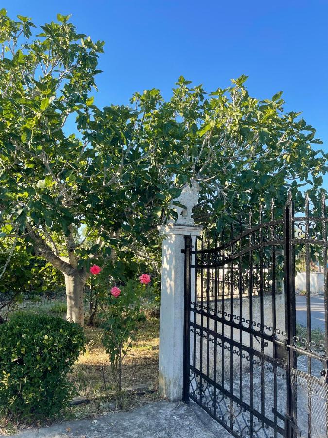 Beautiful Nearby Beach House With Garden, Private Pool And Large Yard ซีดารี ภายนอก รูปภาพ